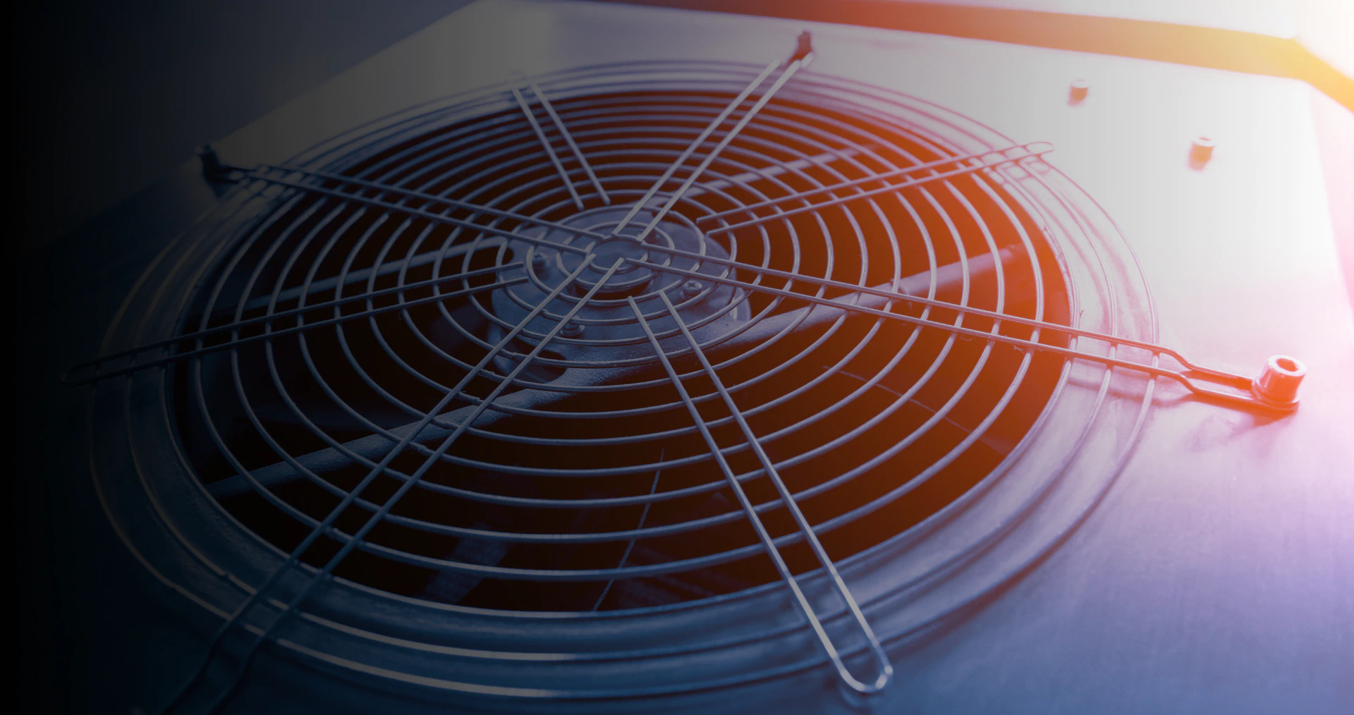 avolio brothers Hero 1